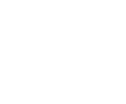 Evolution games at Winzino Casino